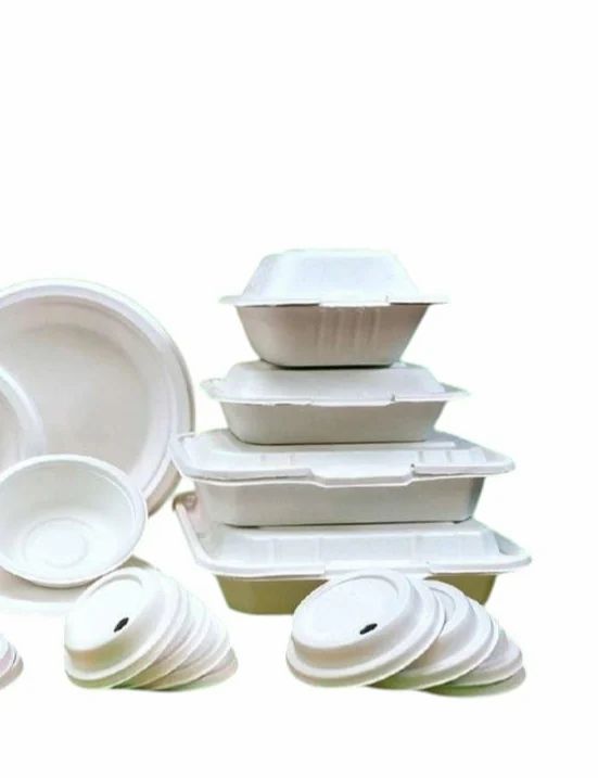 Sugarcane Bagasse Burger Boxes